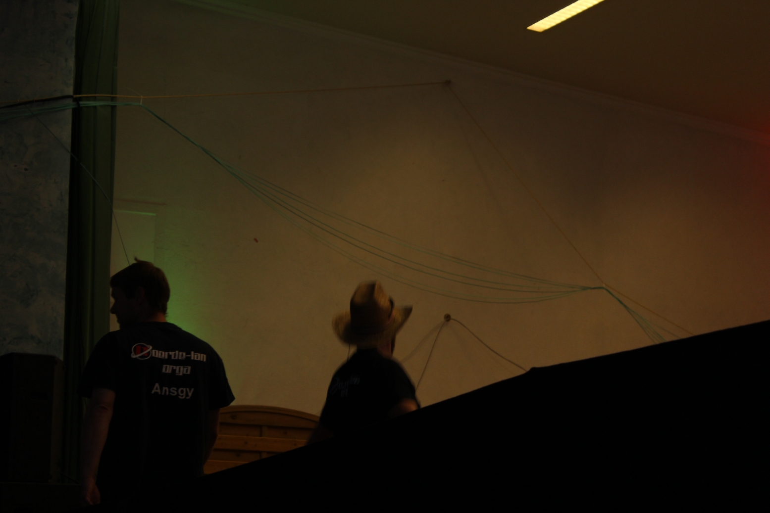 Bild