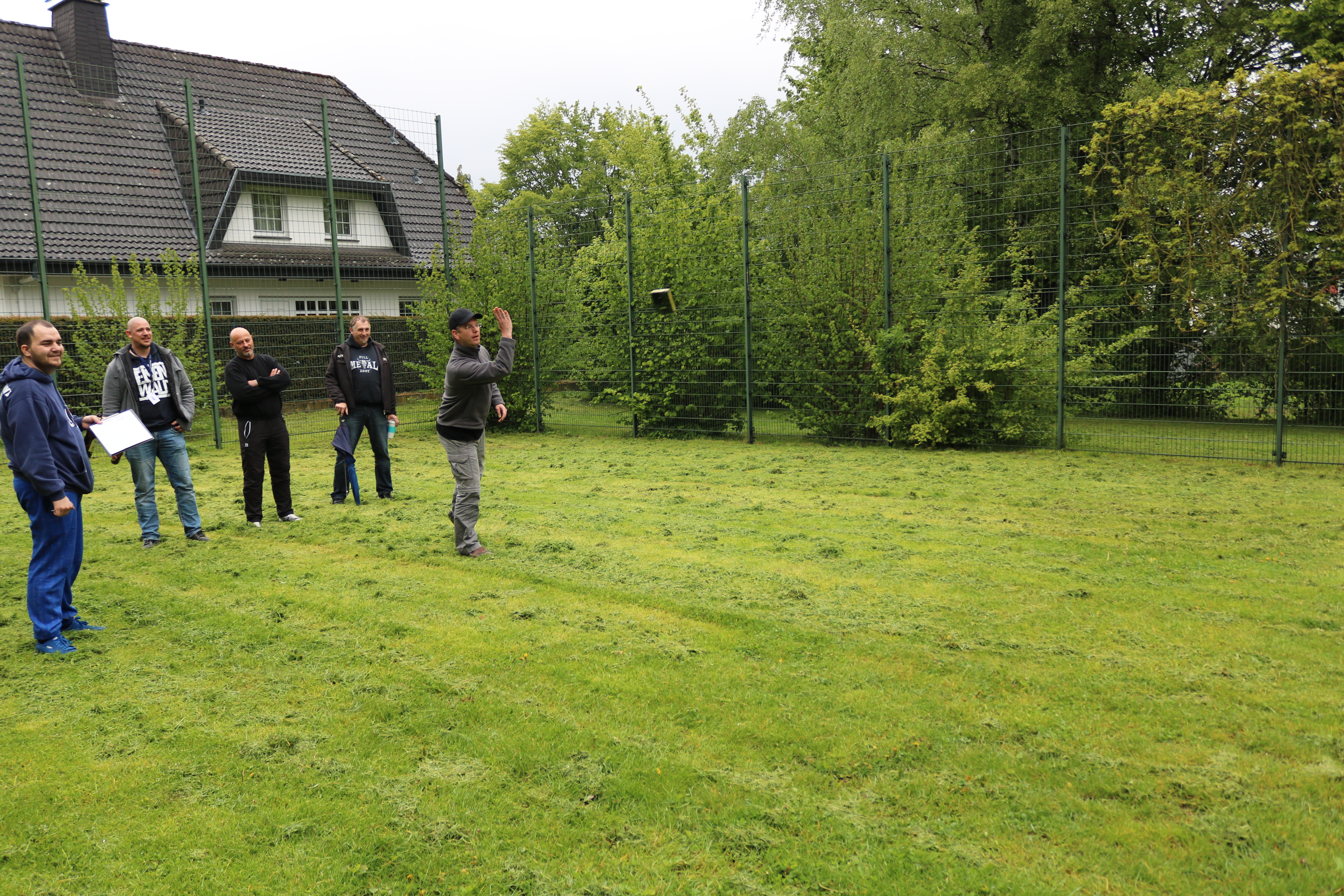 Bild
