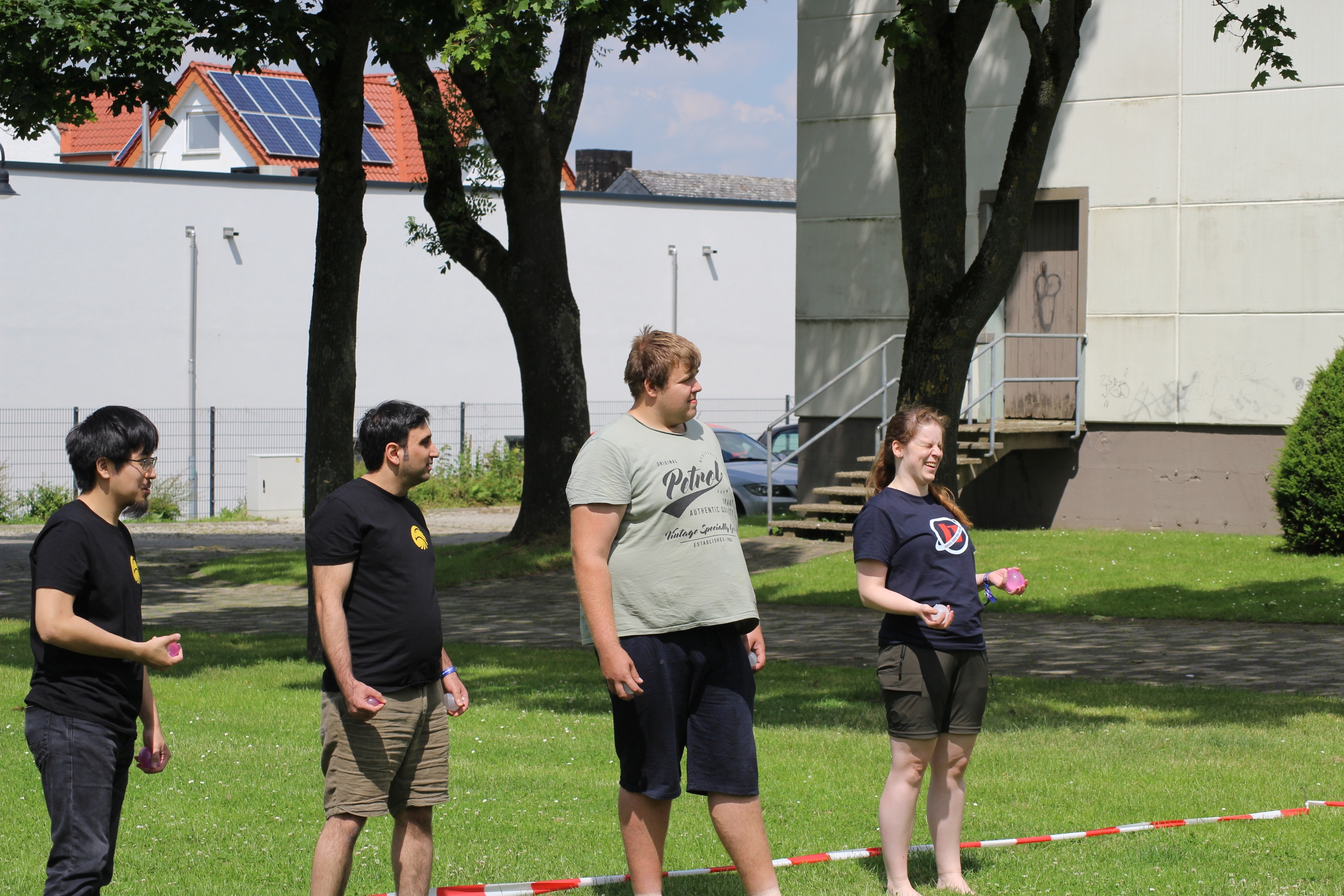 Bild