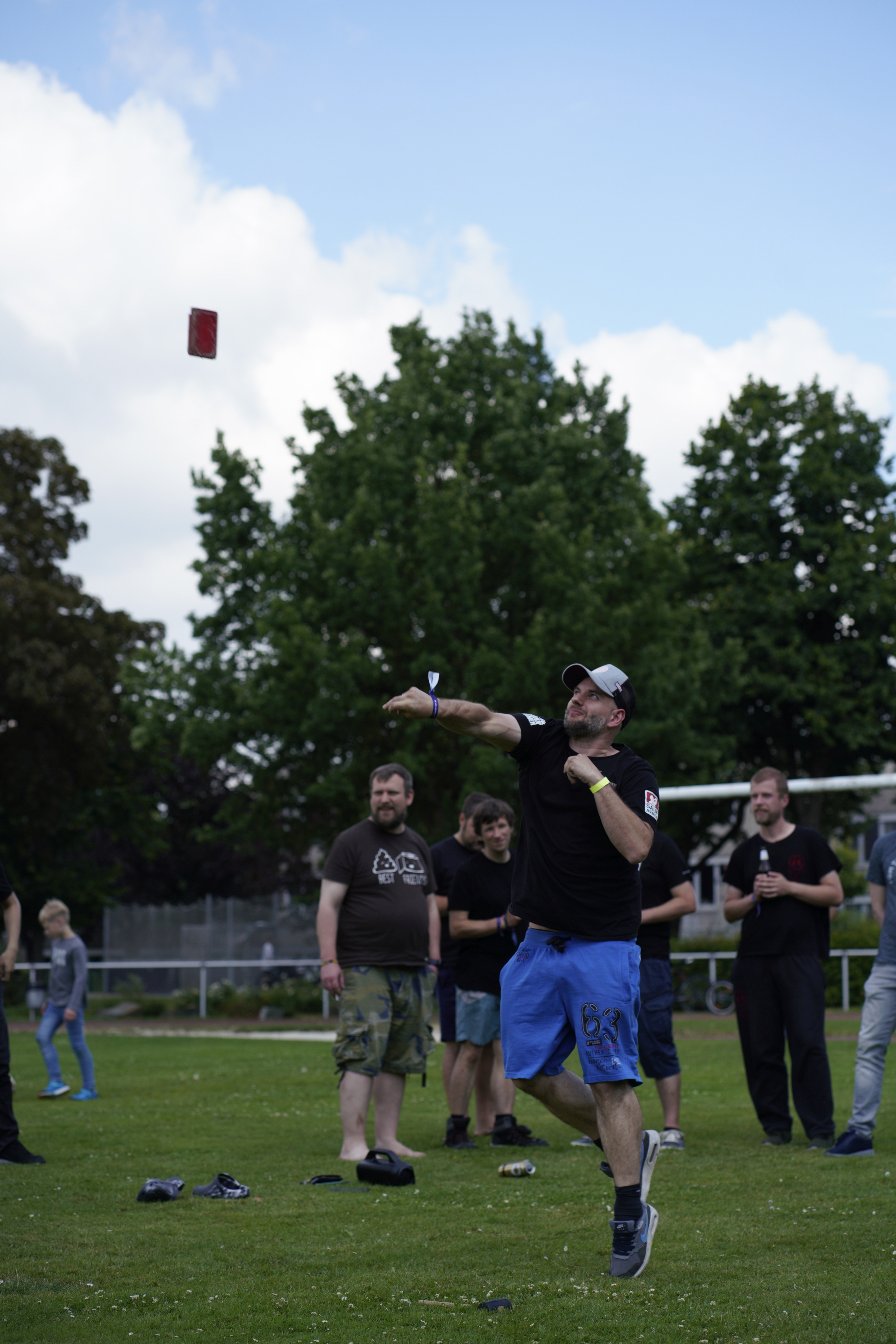 Bild